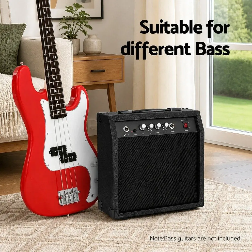 40W Bass Guitar Amplifier