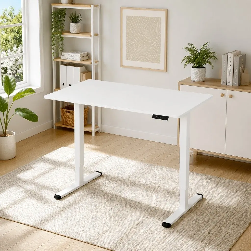 Electric Standing Desk for Better Productivity