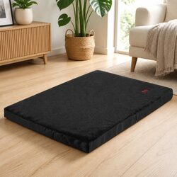 A Friendly Approach to Choosing a Pet Bed