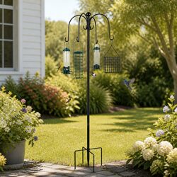 Your Go-To Bird Feeder Station for Garden Bliss