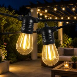 Make Your Outdoor Area Inviting with 30M Festoon Lights