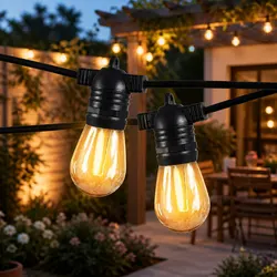 Bring Your Space to Life with 50M Festoon String Lights