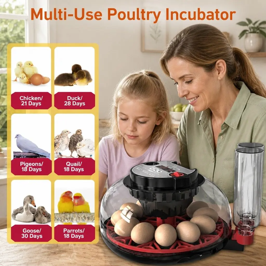 12 Egg Incubator Automatic Turning LED Display Temperature Humidity Control