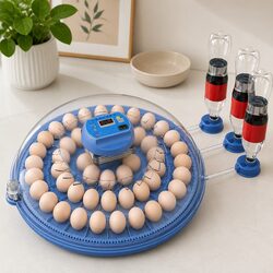 Your Friendly 52 Egg Incubator for Poultry Hatching