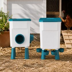 User-Friendly Automatic Chicken Feeder and Waterer Set