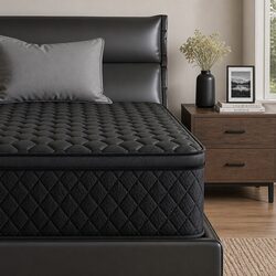Friendly King Single Mattress with Euro Top Support