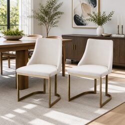 Set of 2 Friendly Beige Dining Chairs for Your Kitchen