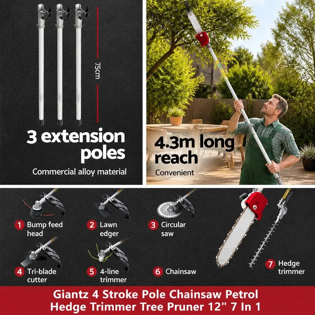 4 Stroke Pole Chainsaw for Garden Tasks