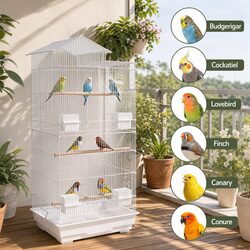 Your 100cm Bird Cage Solution for Small Birds