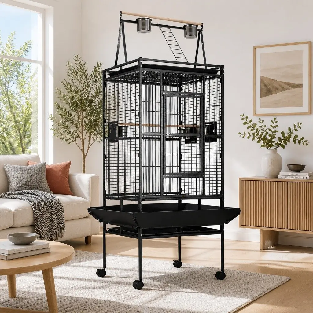 Large Bird Cage Aviary 173cm Tall Durable Wrought Iron with Perches and Food Bowls