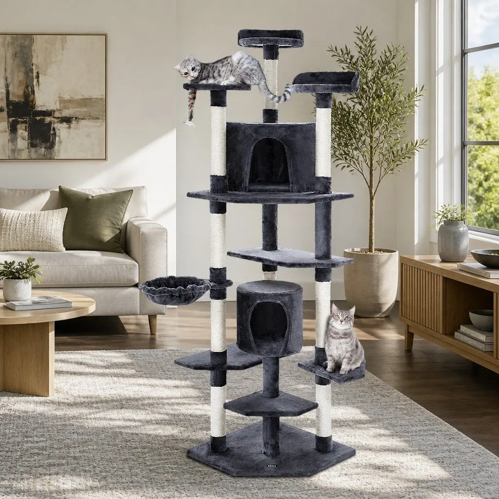 Cat Tree