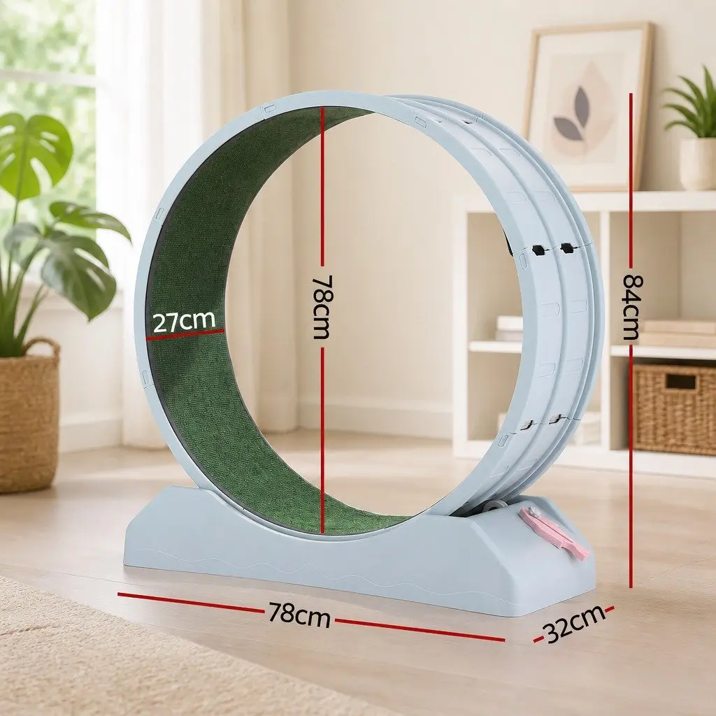 Cat Exercise Wheel Mute Roller 78cm Detachable Safety Lock