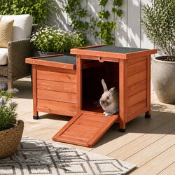 Your Friendly Wooden Outdoor Cat House