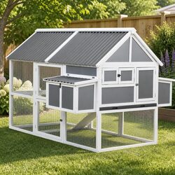 Your Ideal Chicken Coop for Backyard Poultry