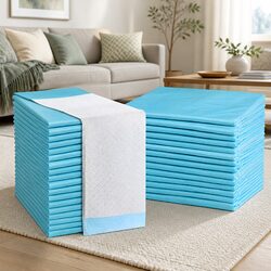 Pet Training Pads 200pcs 60x60cm Puppy Dog Toilet Pee Indoor Super Absorbent