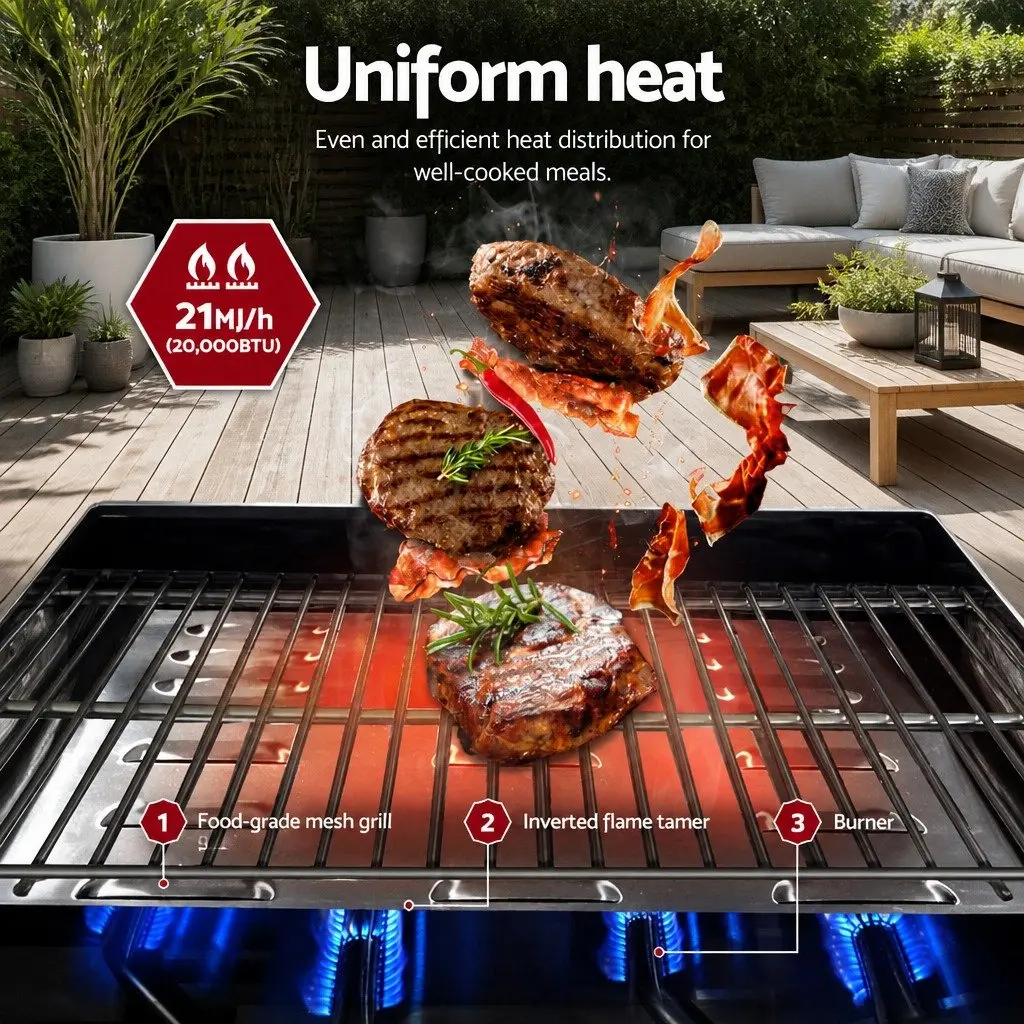 Portable Gas BBQ Grill 2 Burners Stainless Steel Foldable Cooking Outdoor Garden