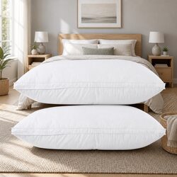 You're Going to Love This Duck Feather Down Pillow Set