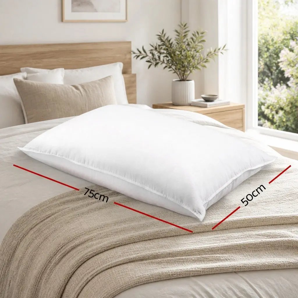 Duck Feather Down Pillow Twin Pack Hypoallergenic Cotton Casing 73 x 48cm White