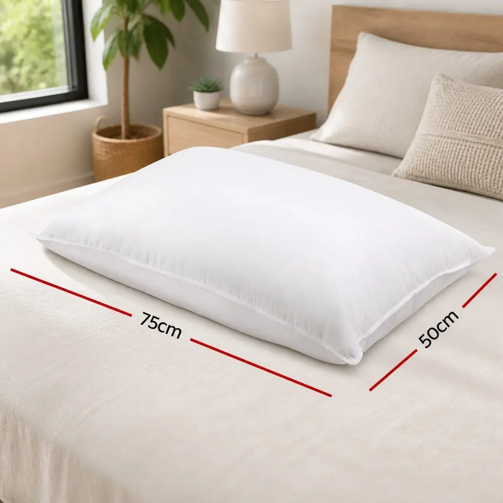 Goose Feather Down Pillow Twin Pack Hypo-Allergenic Cotton 75cm x 50cm