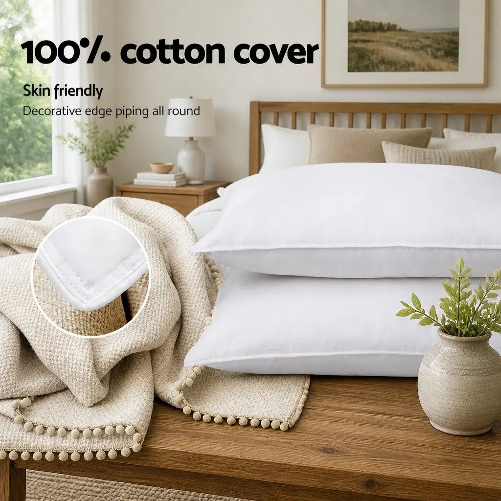 Goose Feather Down Pillow Twin Pack Hypo-Allergenic Cotton 75cm x 50cm
