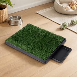 Your New Indoor Dog Potty Solution Awaits