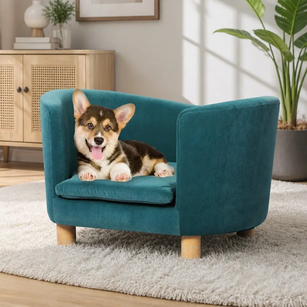 Pet Sofa Bed Dog Cat Lounge Elevated Couch Modern Design Blue Furniture