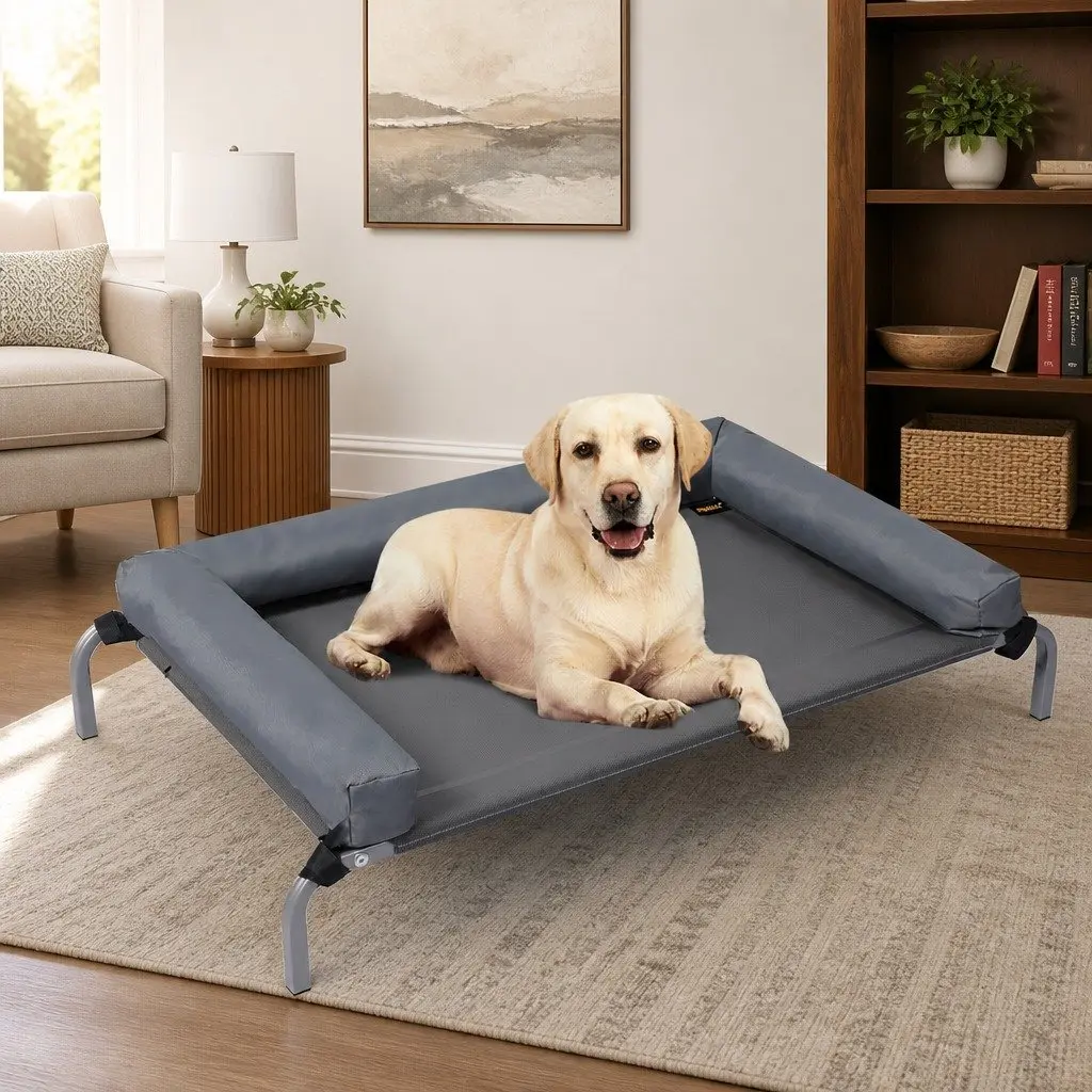 Elevated Pet Bed Dog Cat Medium Raised Outdoor Indoor Trampoline Mesh Breathable