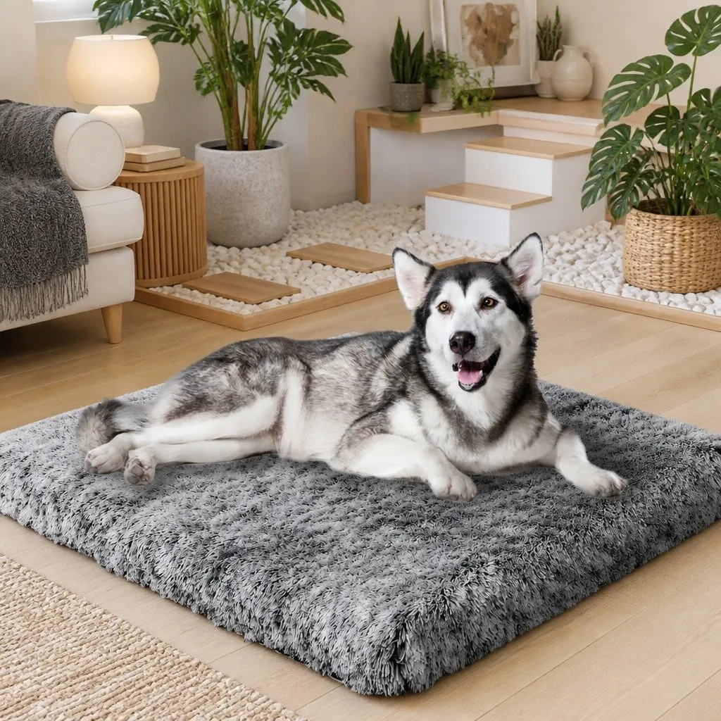 Orthopedic Pet Bed XXL Charcoal Memory Foam Cushion Removable Washable Cover