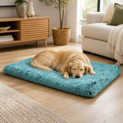 Your Pet's New Favorite Memory Foam Cushion