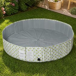 Friendly 160cm Portable Pool for Kids and Dogs