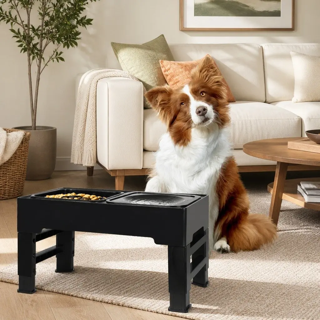 Elevated Pet Feeder Height Adjustable 4 Size Non-Slip Base