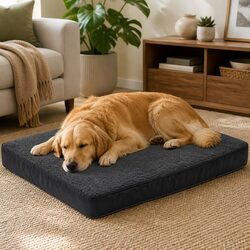 Get Comfortable with Our Grey Orthopaedic Pet Bed