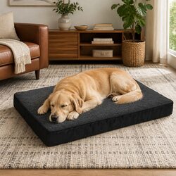 Your Pet's New Favorite Orthopedic Bed - XXL Size