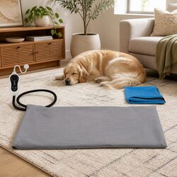 Your Pet Deserves This Cozy Heated Dog Bed