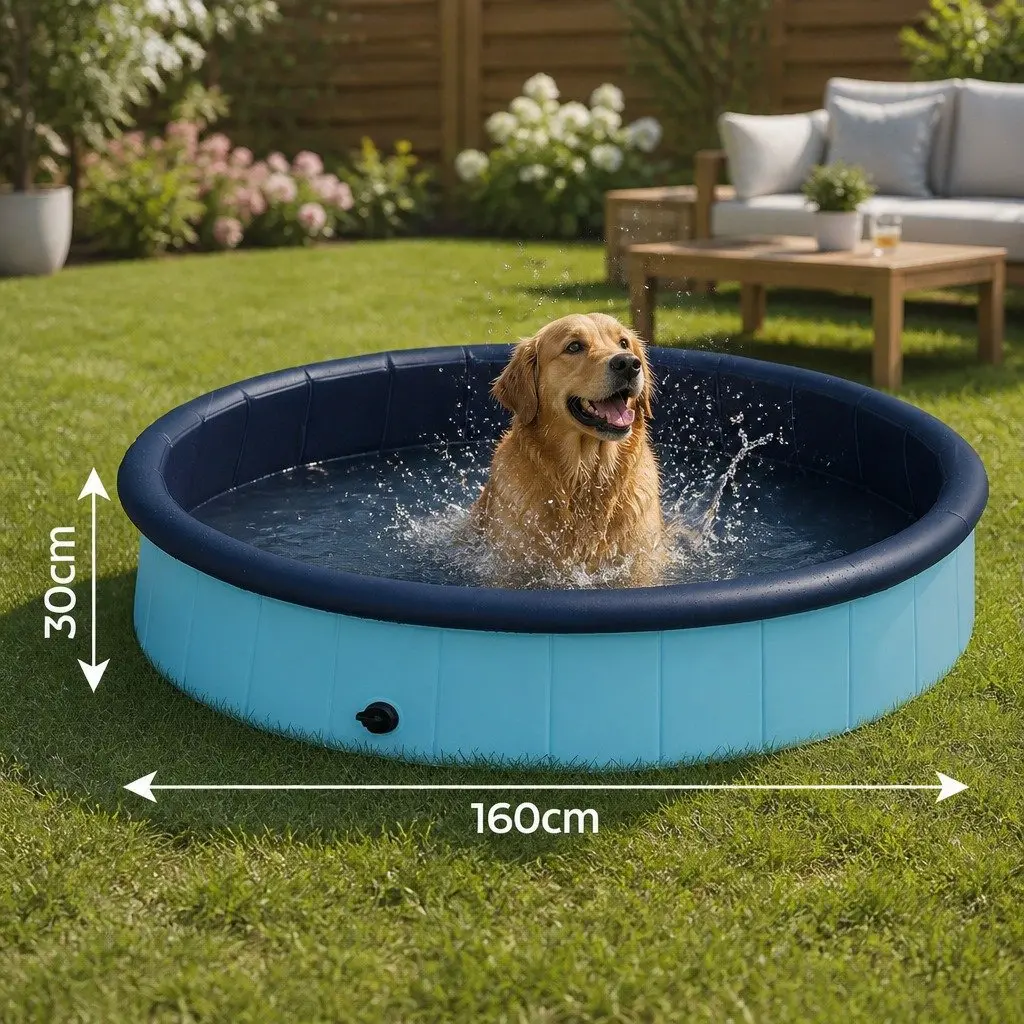 Interactive Folding Pet Pool for Dogs and Kids