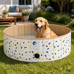 Your Pet’s 120cm Foldable Pool for Outdoor Fun