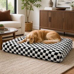 Comfort for Your Pet: Orthopedic Dog Bed Essentials
