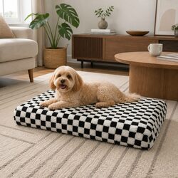 Find Comfort with Our Orthopedic Dog Bed