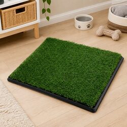 Your Dog’s Indoor Potty Solution: Easy and Effective