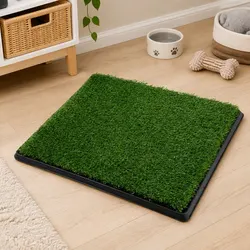 Your Dog’s Indoor Potty Solution: Easy and Effective