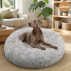 Friendly XXL Dog Bed for Your Furry Companion