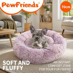 Friendly Pet Bed for Your Beloved Cats and Dogs