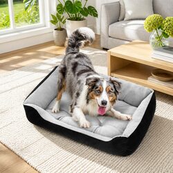 Your Pet's Cozy Retreat: PawFriends Walled Pet Bed