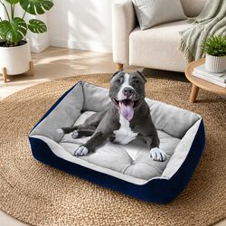 Friendly Walled Pet Bed for Your Beloved Companion