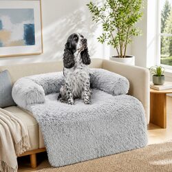 Your Furry Friend's Comfort with a Stylish Pet Sofa Bed
