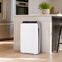 Your New Air Purifier: Smart Features and Efficient Design