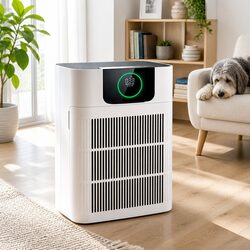 Your Friendly Pet Air Purifier for Cleaner Spaces