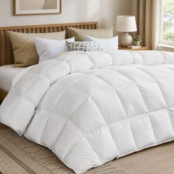 Friendly Single Quilt: Ideal for Your Bedding Needs