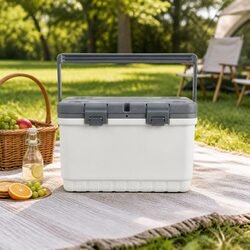 Your Friendly 22L Insulated Cooler Box for All Occasions