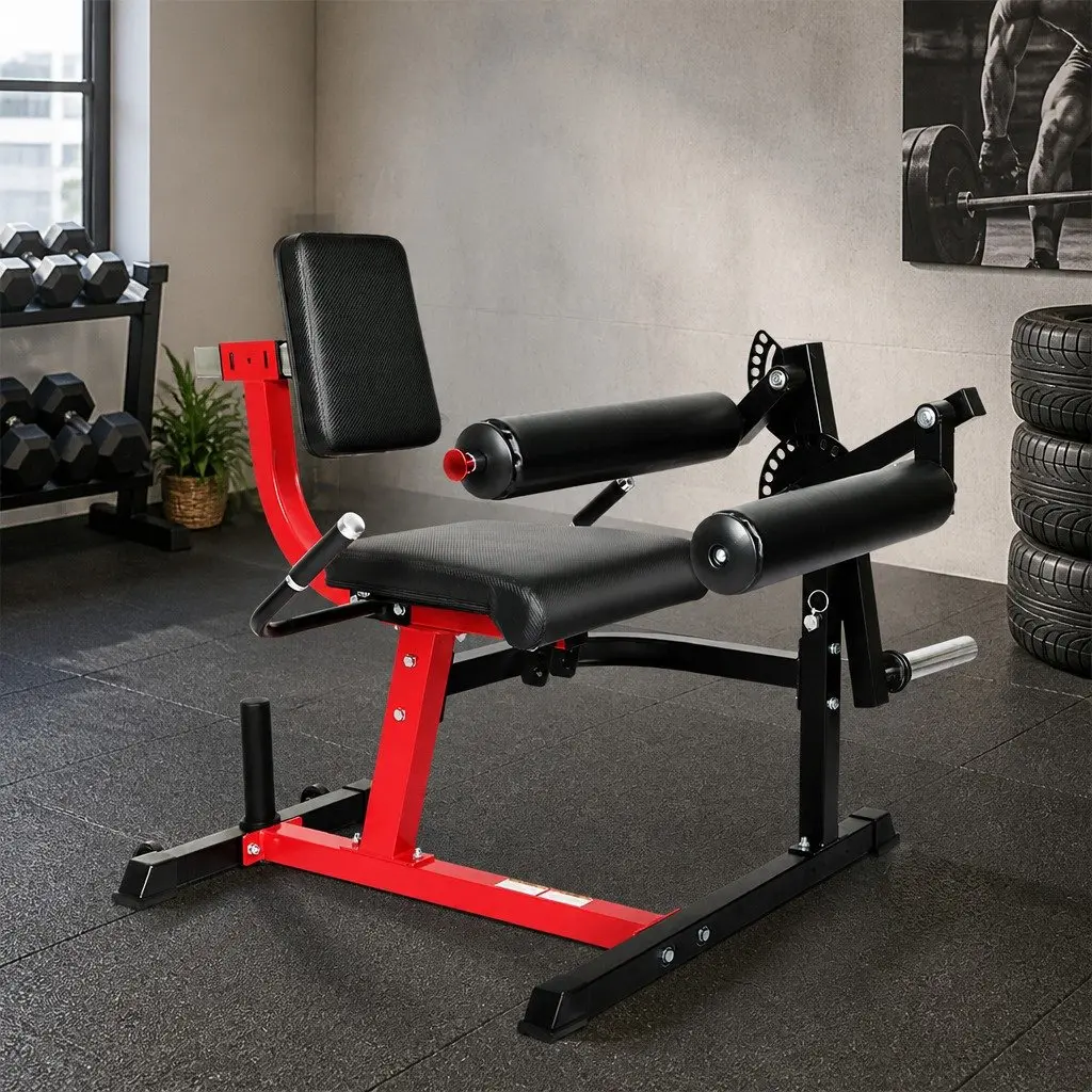Leg Extension Curl Machine Plate Loaded Adjustable Size for Home Gym Lower Body Workout
